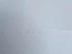 Sigurdur Gudmundsson - Grote Artist Proof (oplage slechts 12 ex) Lithografie "genetic Poem" potloodges. kopen? Bied vanaf 85!