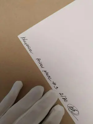 Lidiia Khaikara - Privékamer #3 kopen? Bied vanaf 145!