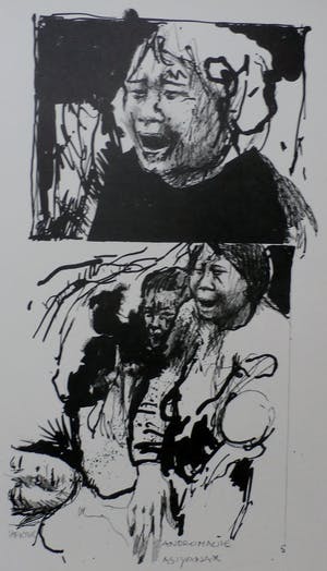 Willem Snitker - Litho - "Andromache" - 1971 kopen? Bied vanaf 40!