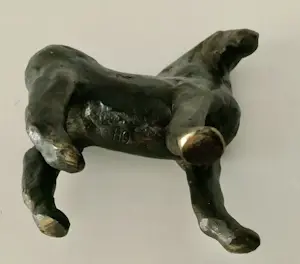 Guus Hellegers - Trots paardje kopen? Bied vanaf 400!