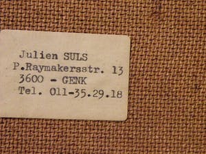 Julien Suls - Boslandschap kopen? Bied vanaf 1!