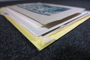 Janus Nuiten - Lino, Lot van 40 lino's kopen? Bied vanaf 100!