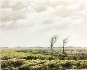 Edgar Fernhout - Donkere dag op de hei verkocht voor € 45!