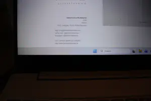 Jeroen Henneman - Zwart gelakt metalen sculptuur: Nederlandse muziekprijs - 2009 kopen? Bied vanaf 1250!