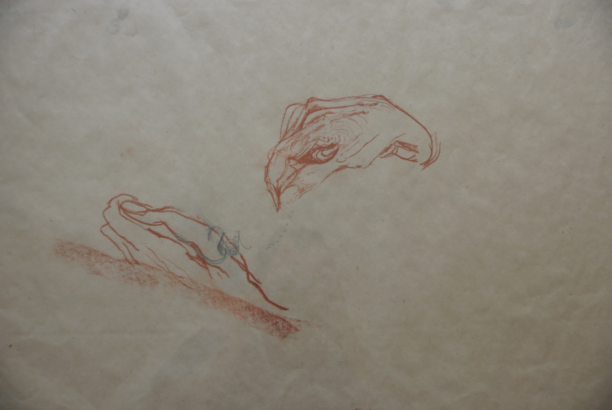 Jasper Krabbe - tekening uit de nalatenschap van uitgever Van Gennep verkocht voor € 395!