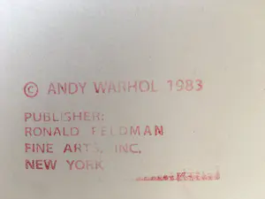 Andy Warhol - Black Rhinoceros uit de serie Endangered Species - Ingelijst (Groot) kopen? Bied vanaf 1!