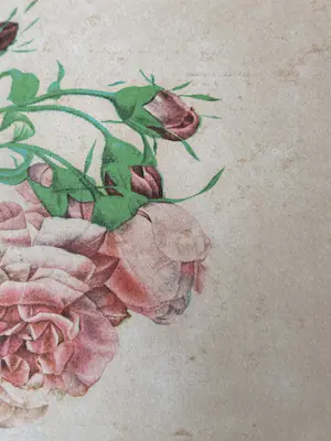 Pierre-Joseph Redoute - Rosa Rafa kopen? Bied vanaf 10!