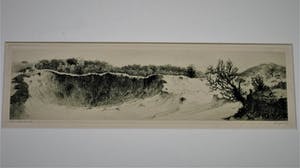 Dirk Harting - Meesterlijk Etser - Willink van Collenprijs 1913 - "Duinlandschap omstreeks 1920 kopen? Bied vanaf 10!