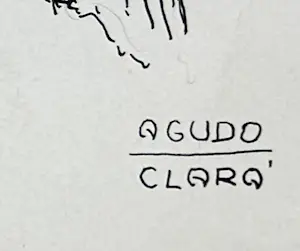Ignacio Agudo Agudo Clara - Bomenlandschap kopen? Bied vanaf 450!