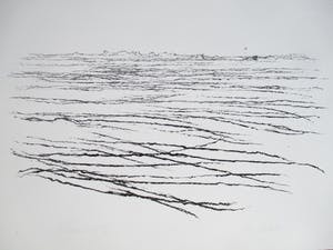 Willem den Ouden - Litho kopen? Bied vanaf 70!