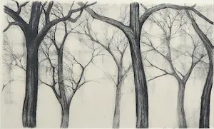 Niet of onleesbaar gesigneerd - Litho, Bomen - Ingelijst kopen? Bied vanaf 1!