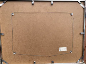 Hugo Brouwer - Naakt kopen? Bied vanaf 40!