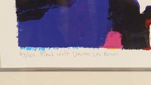 Frank Lejeune - First Visit Veules les Roses kopen? Bied vanaf 70!