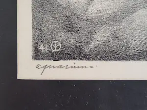 Aart van Dobbenburgh - "Aquarium". kopen? Bied vanaf 75!