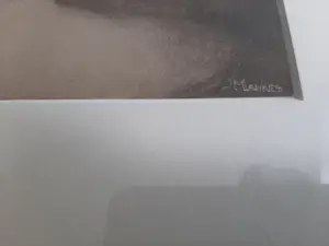 Jan Mankes - Heliogravure, Meisje met Lijster kopen? Bied vanaf 120!