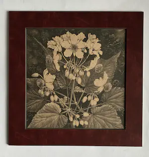 Jan Voerman (jr.) - Drie Litho's uit 1920 Kamerlinde, Kerstroos, Pompoen kopen? Bied vanaf 1!