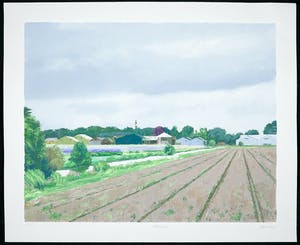 Gineke Zikken - Zeefdruk, Bollenschuren kopen? Bied vanaf 1!