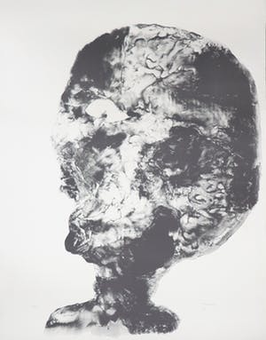 Armando - Litho, Der Kopf (Zeer groot!) kopen? Bied vanaf 1!