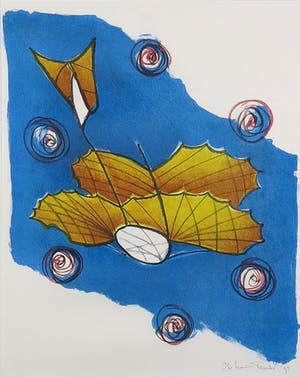 Karin Tanke - Litho, Droomvlucht - Ingelijst kopen? Bied vanaf 1!