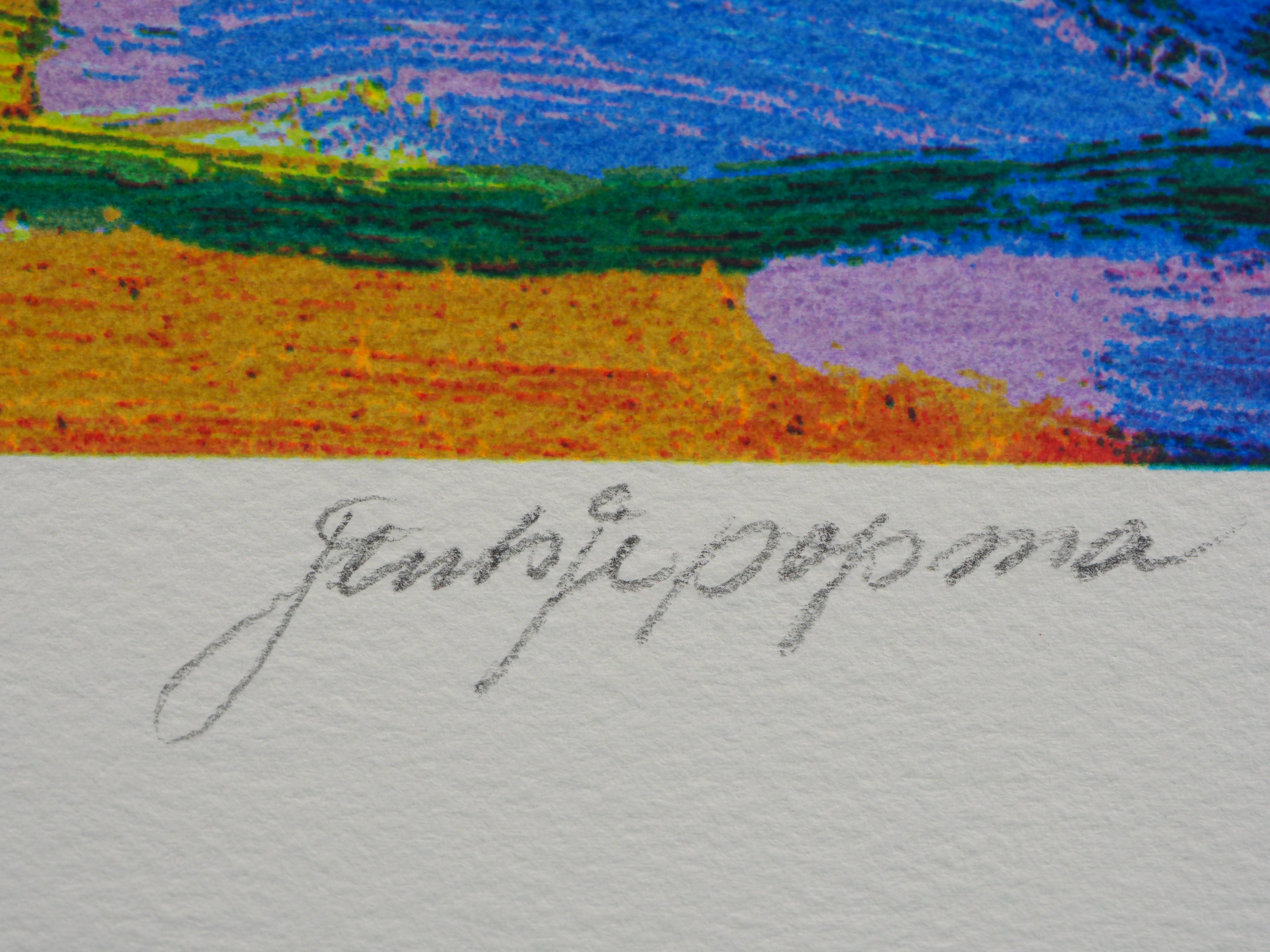 Jentsje Popma - Zomer kopen? Bied vanaf 60!