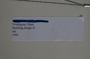 Hans Vredegoor - Splitting Image II kopen? Bied vanaf 5!