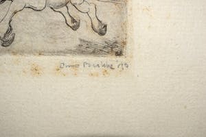 Enno Brokke - Veulen in de wei kopen? Bied vanaf 50!