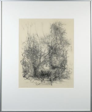Jaap Kruijff - Litho, Vrije natuur - Ingelijst kopen? Bied vanaf 1!