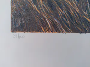 Kearns James - Leoping kopen? Bied vanaf 150!