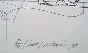 Vladimir Velickovic - Saut, litho kopen? Bied vanaf 125!