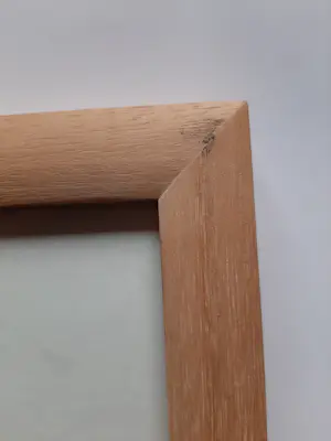 Alexander Lichtveld - Aquarel, Paus. kopen? Bied vanaf 40!