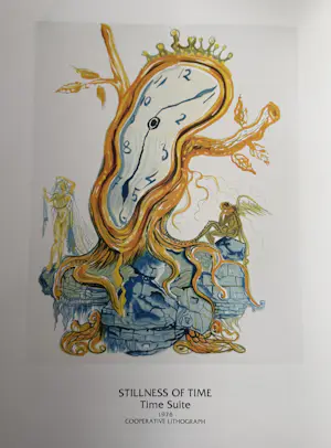 Salvador Dali - "Dali in Manhattan". With a very large collection of Dali's works. kopen? Bied vanaf 30!