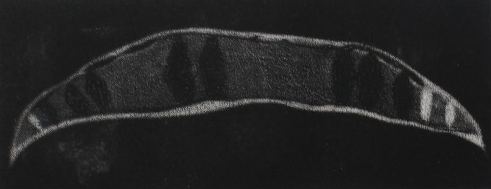 Henrietta Harkink