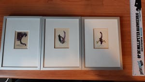Niet of onleesbaar gesigneerd - Ex librissen kopen? Bied vanaf 1!