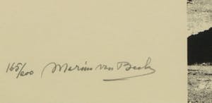 Marius van Beek - Zeefdruk uit de serie Poort van de Zon, Abu Simbel kopen? Bied vanaf 1!