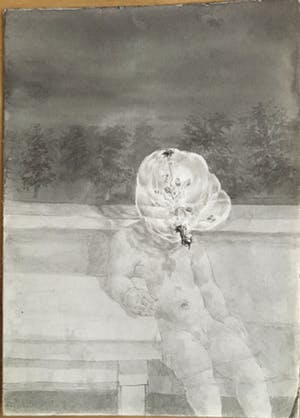 Peter Vos - Boomman kopen? Bied vanaf 80!