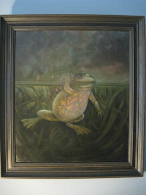 Jose van Kleef - ''the happy frog'' kopen? Bied vanaf 275!