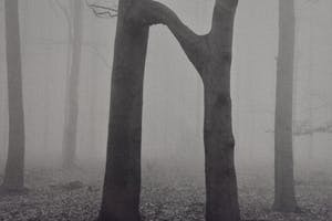 Ralph Janowski - Bomen kopen? Bied vanaf 1!