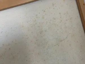 Pierre Hendrix - z. titel kopen? Bied vanaf 45!