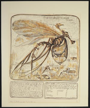 Joseph Cals - en Rene Glaser, Lot van twee litho's, Hommage aan Graham Sutherland + Z.T. kopen? Bied vanaf 1!