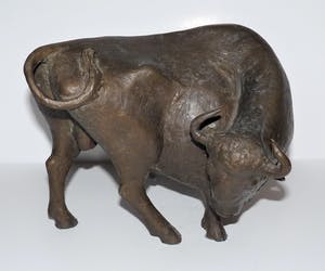 Evert den Hartog - Stier kopen? Bied vanaf 750!