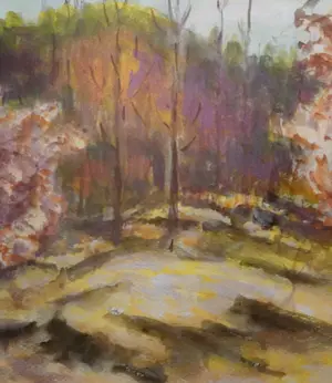 Jan Altink - Heidelandschap te Groningen kopen? Bied vanaf 1000!