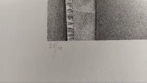 Roger Wittevrongel - Torso kopen? Bied vanaf 65!