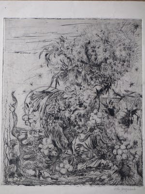 Willy Hagenbeek - Bloemen en planten - Ets kopen? Bied vanaf 1!