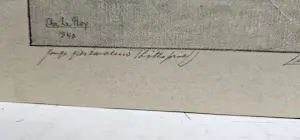 Chris Le Roy - Jonge Gierzwaluw kopen? Bied vanaf 35!