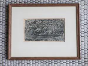 Dirk van Gelder - Plasgezicht met roeiboot in bos - Gravure kopen? Bied vanaf 55!