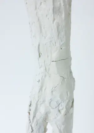 Johan Tahon - Sculptuur in gemengde techniek (gips, hout, touw verf), Zonder titel kopen? Bied vanaf 3000!