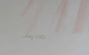 Serge Vergez - Tendre cadeau / Teder geschenk kopen? Bied vanaf 25!