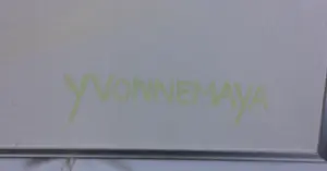 Yvonne Maya Bakker - Acryl op doek, Nomina non valent 2 - Ingelijst kopen? Bied vanaf 60!