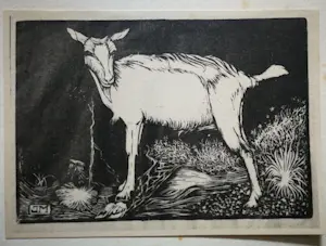 Jan Mankes - Geit. Heliogravure. kopen? Bied vanaf 1!