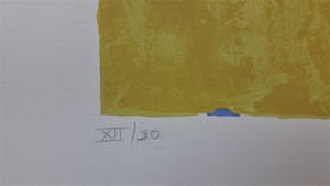 Jeroen Krabbe - 2 zeefdrukken kopen? Bied vanaf 950!